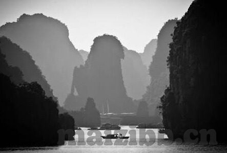 草莓视频成人版-草莓视频成人版，网络世界的成人娱乐新视角