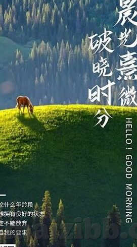 成人视频免费播放-成人视频，网络时代的隐私与边界