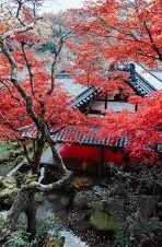 果冻传媒国产传媒-探索果冻传媒与国产传媒的多元化发展之路