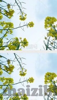 糖心成年版app下载-探索互联网边界，深入了解应用程序的合法性与安全性
