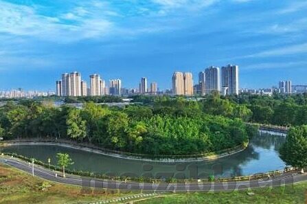 在线播放麻豆av-网络平台的两难间，在线过多流媒体内容的审慎